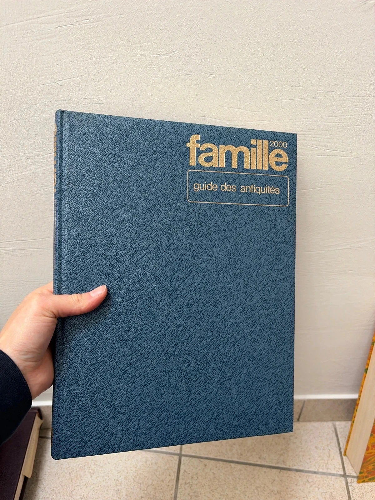 Livre famille des antiquités 2000
